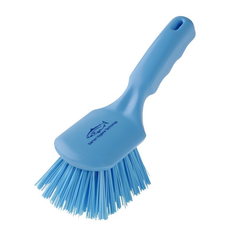 Brosse dure manche court bleue